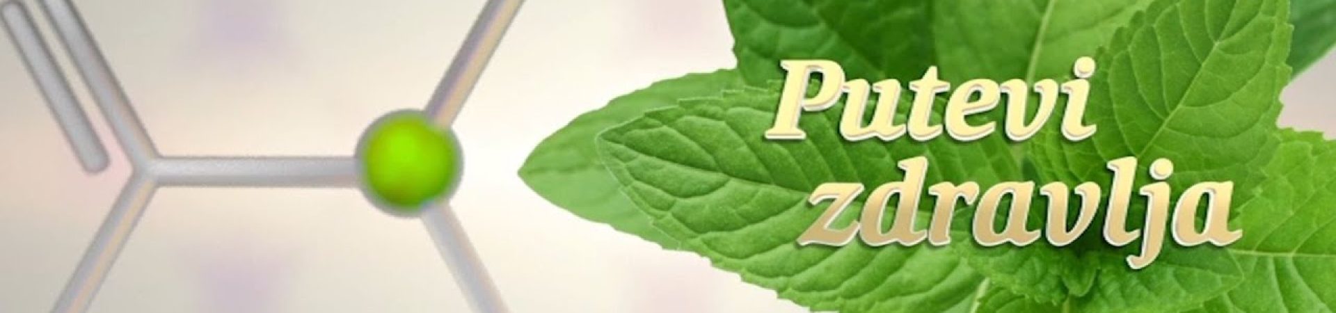 Putevi zdravlja